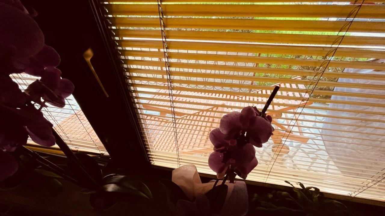 Appartamento The Secret Orchid Rovigno